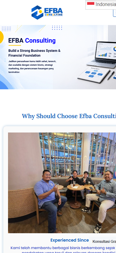 EFBA Consulting Mobile